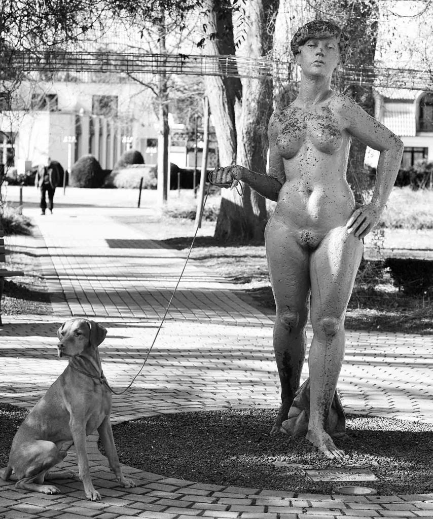 Akt mit Hund web