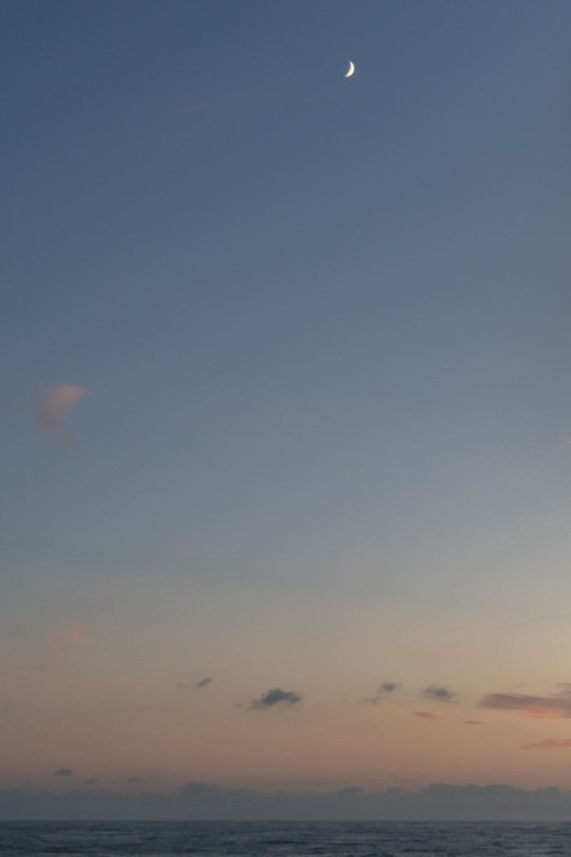 AL557-126.jpg