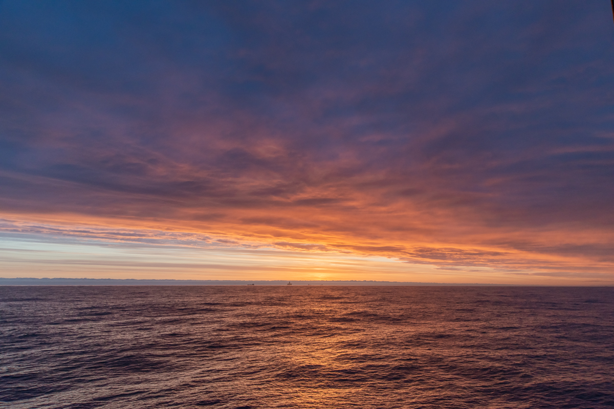 AL557 -154.jpg