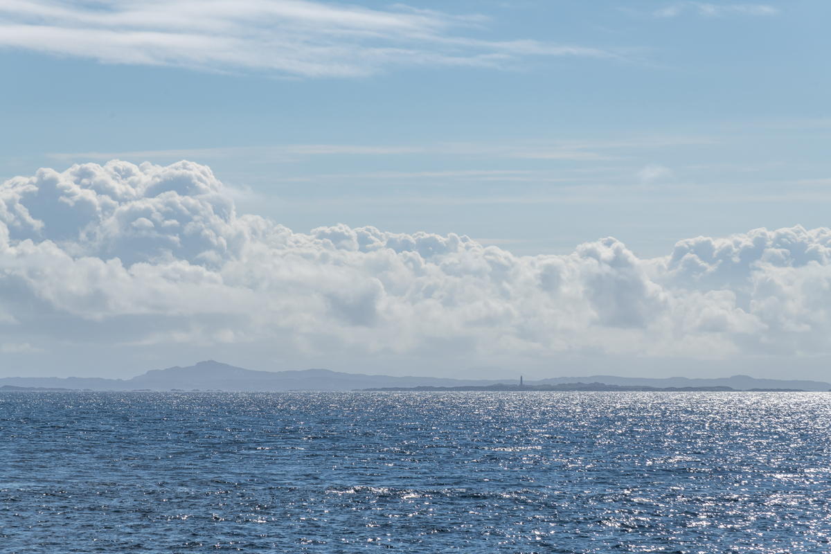 AL557-160.jpg