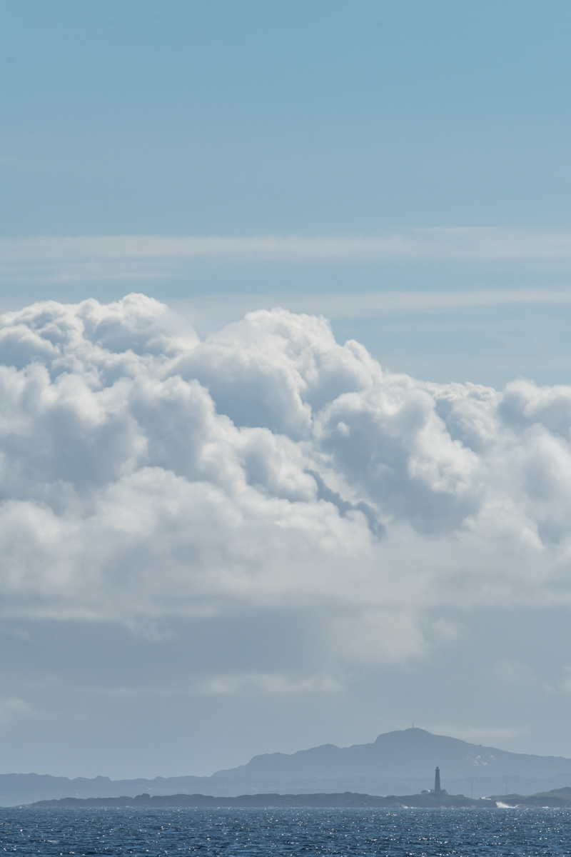 AL557-163.jpg