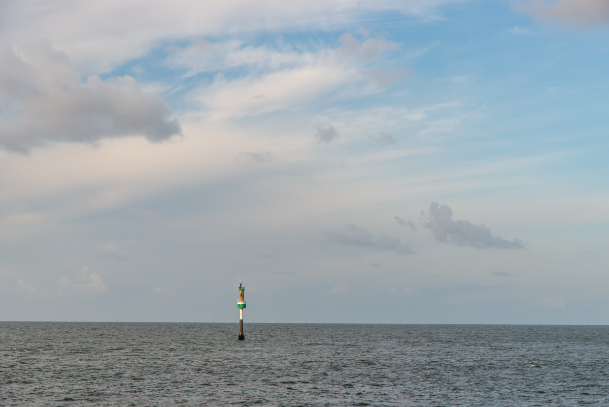AL557-175.jpg
