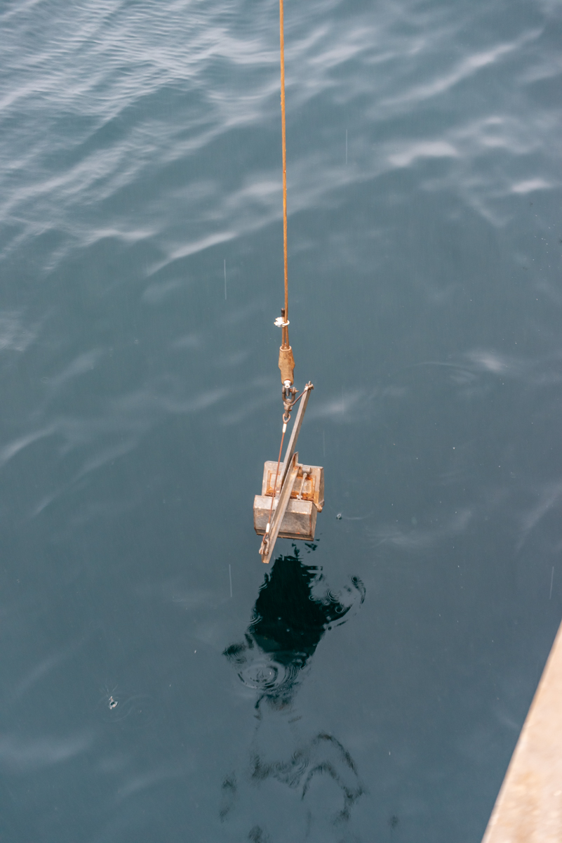 AL557-44.jpg