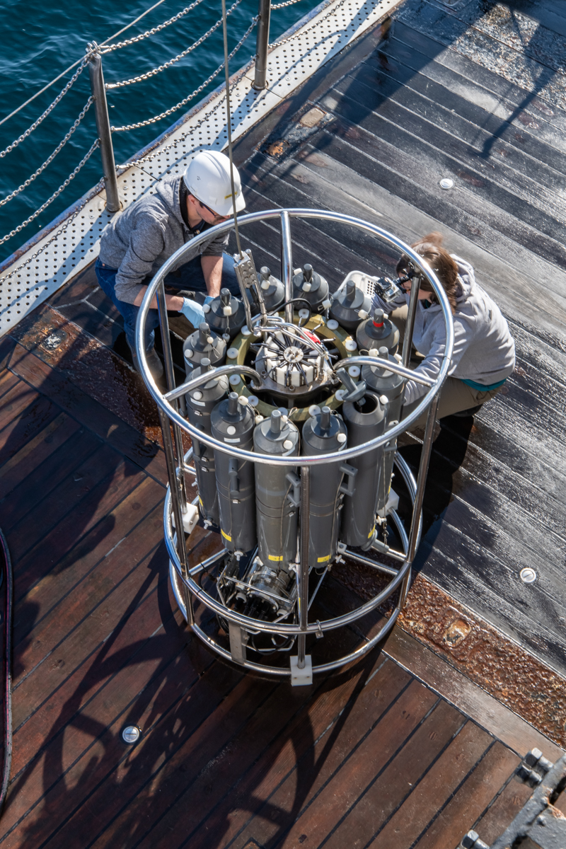 AL557-61.jpg