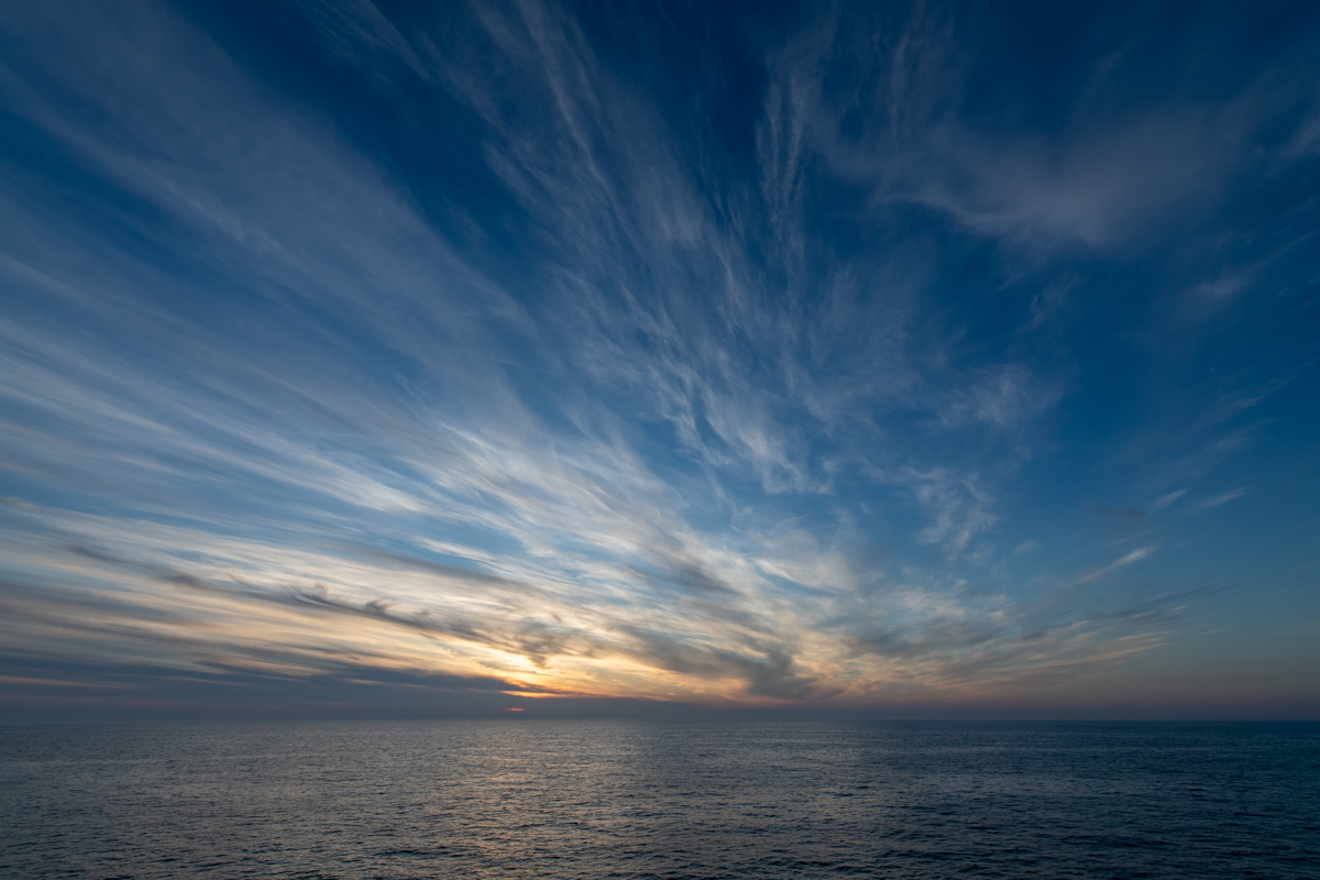 AL557-84.jpg