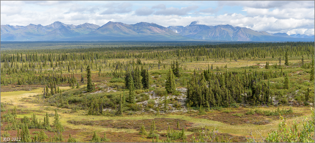 Alaska_2018-044.jpg