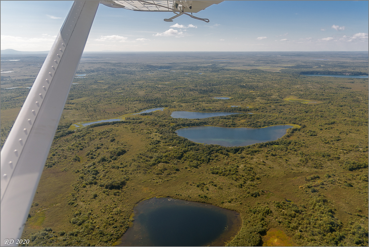 Alaska_2018-2076.jpg