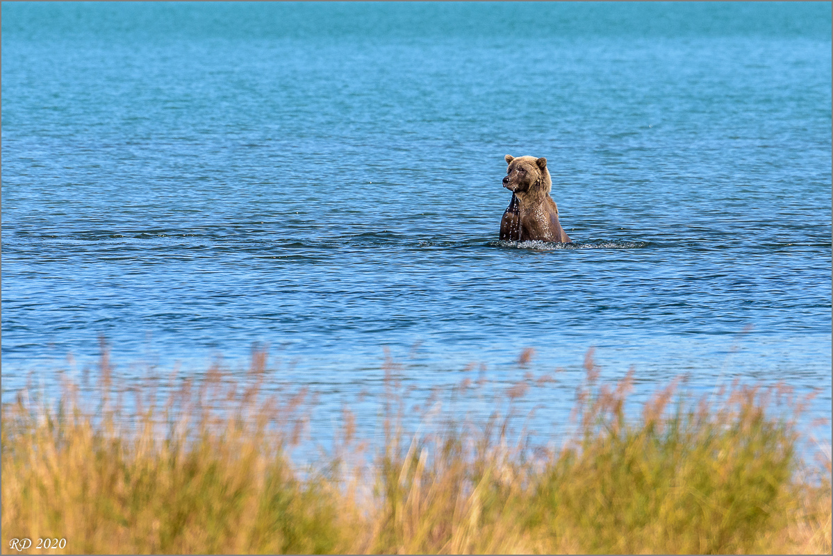 Alaska_2018-2086.jpg