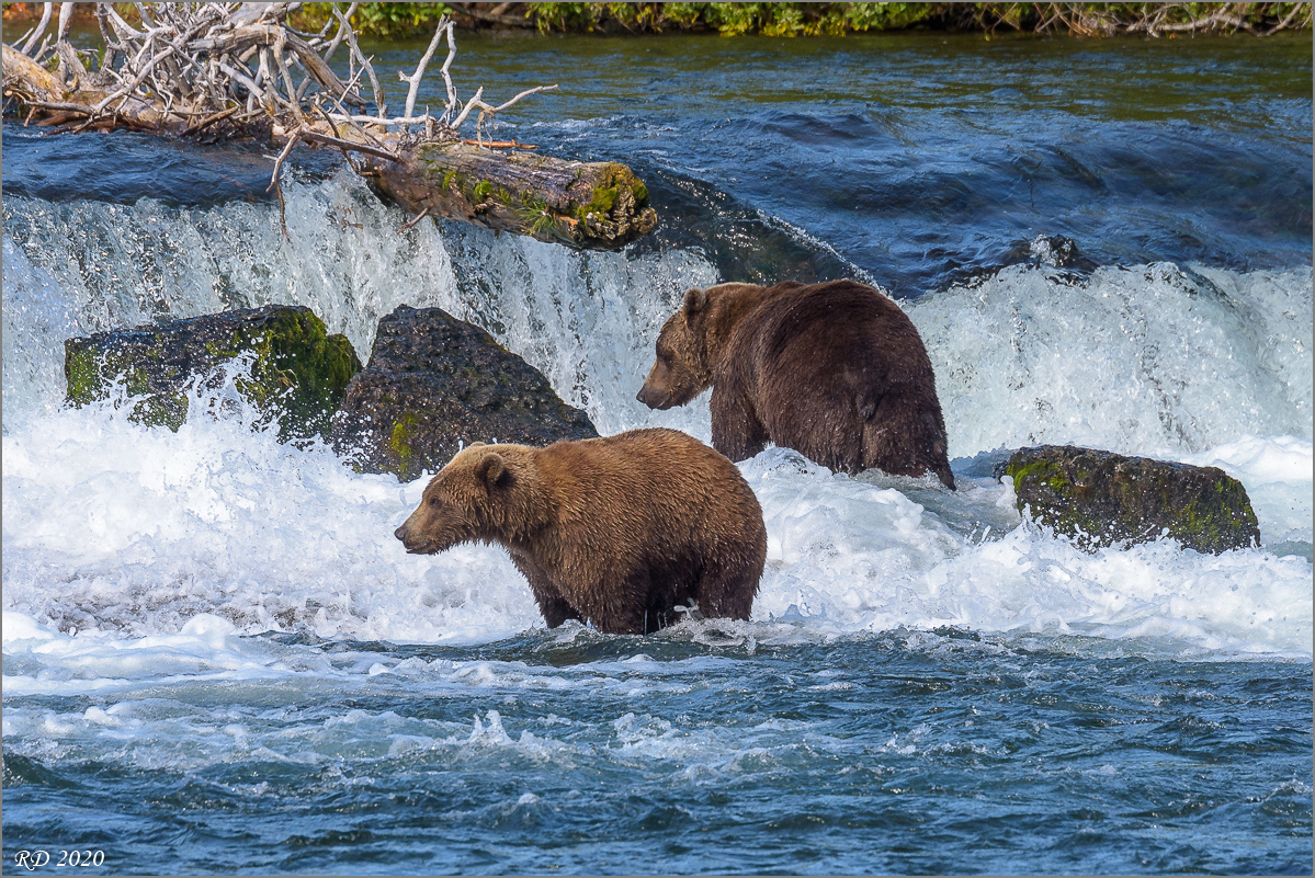 Alaska_2018-2091.jpg