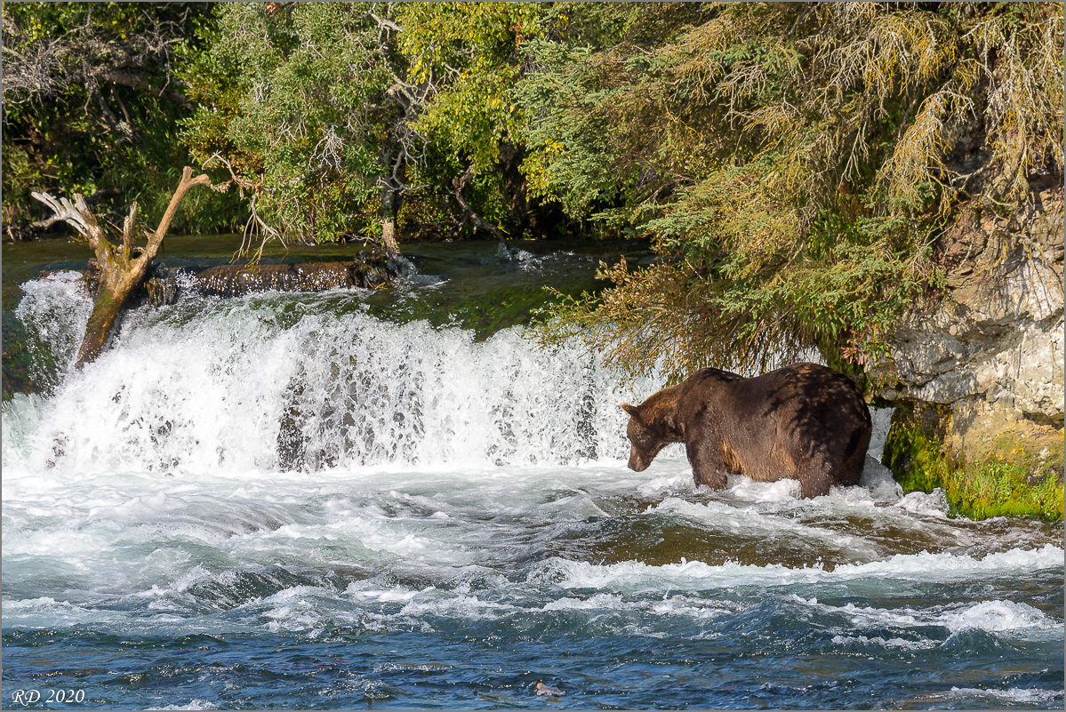 Alaska_2018-2095.jpg
