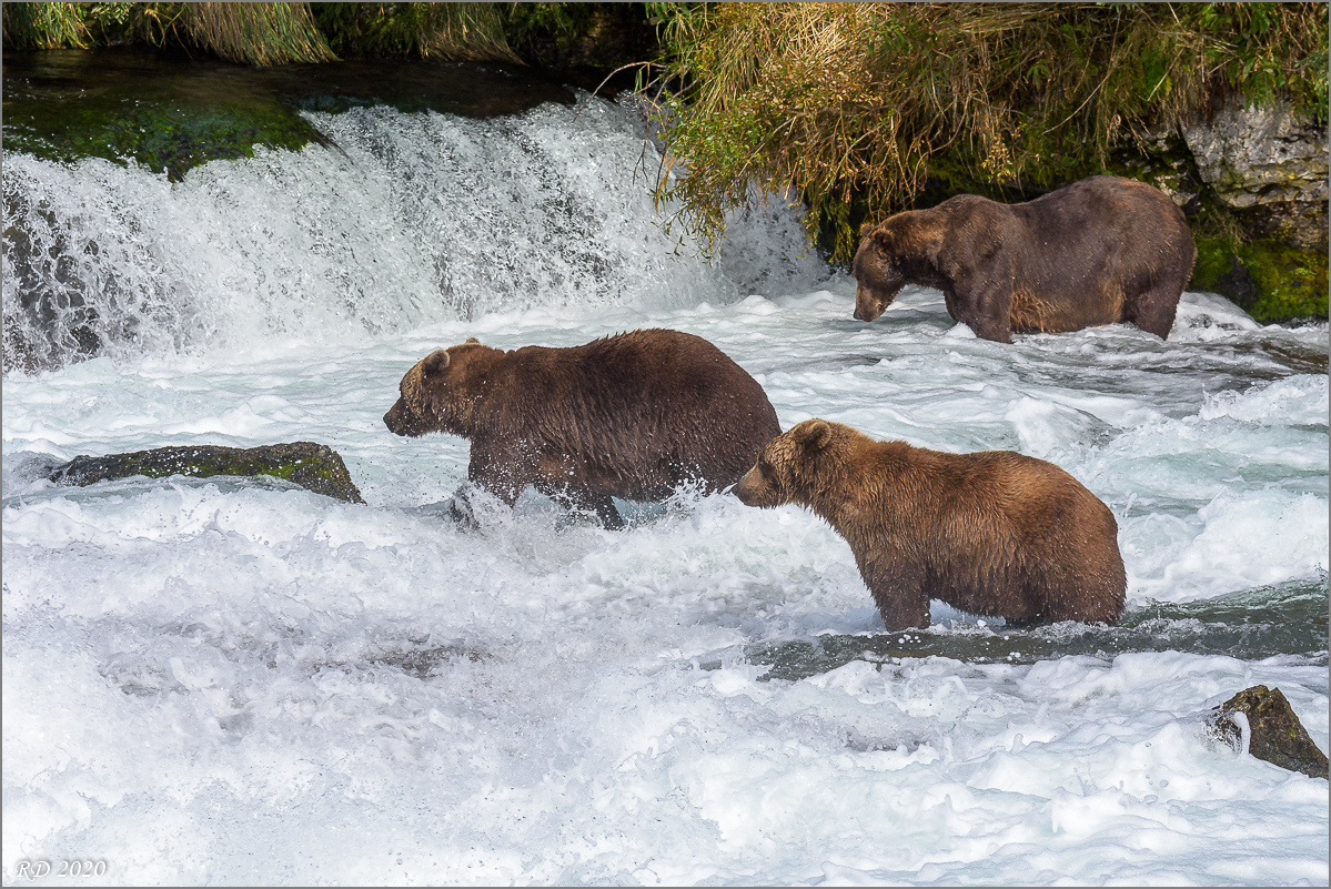 Alaska_2018-2140.jpg