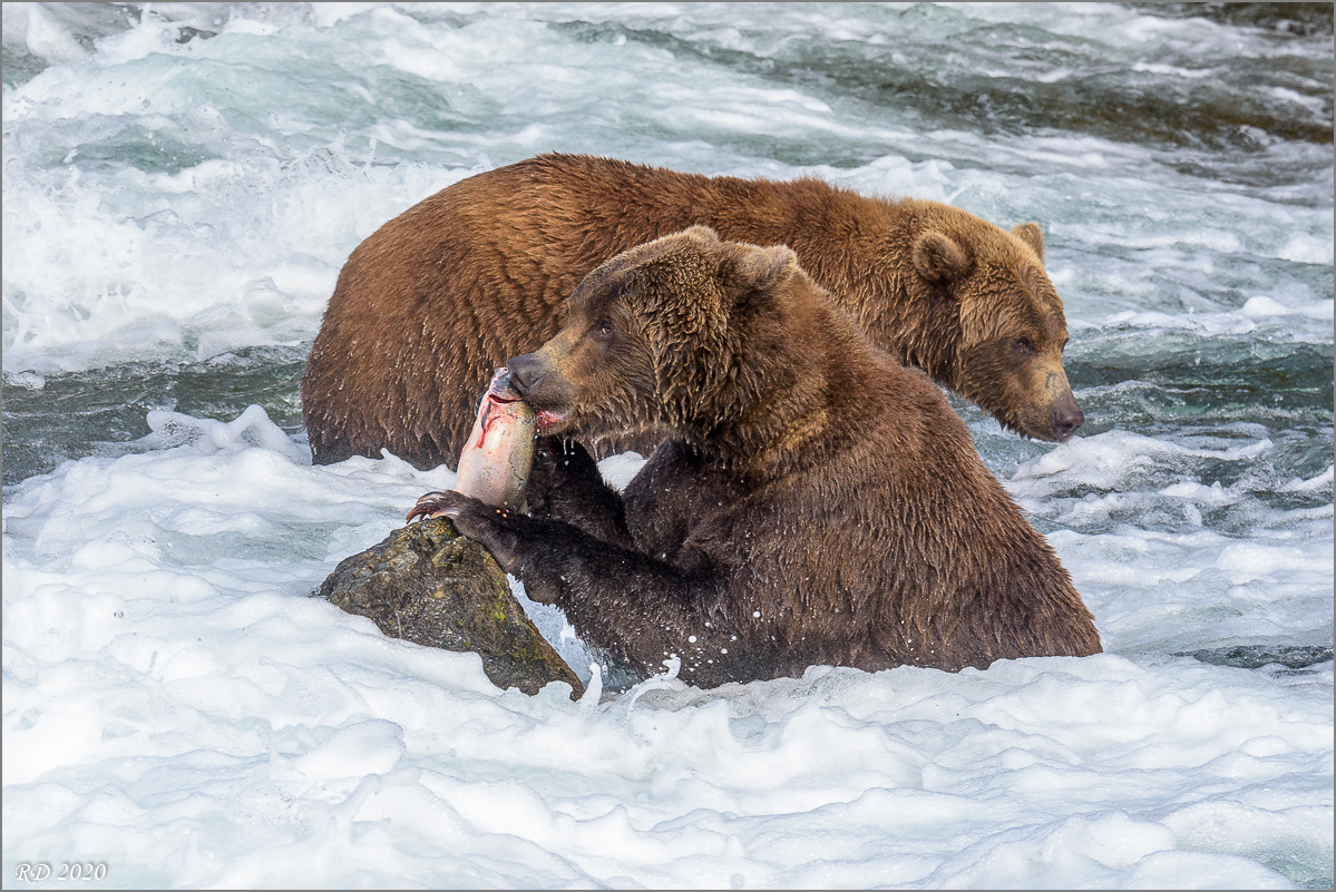 Alaska_2018-2165.jpg