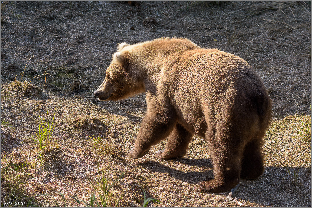 Alaska_2018-2242.jpg