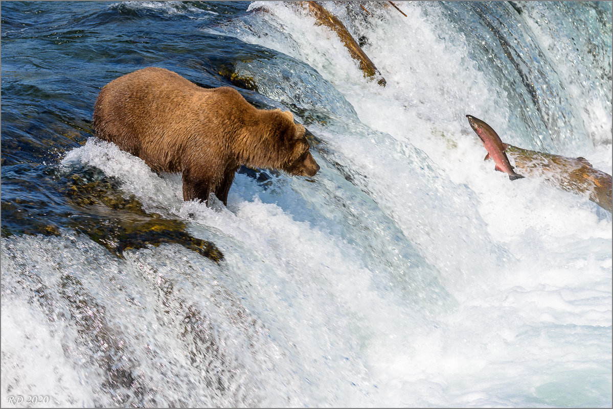 Alaska_2018-2262.jpg