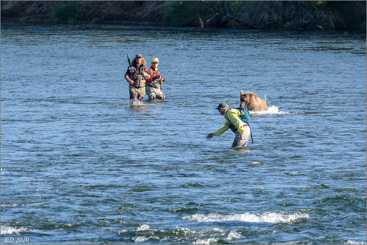 Alaska_2018-2317.jpg