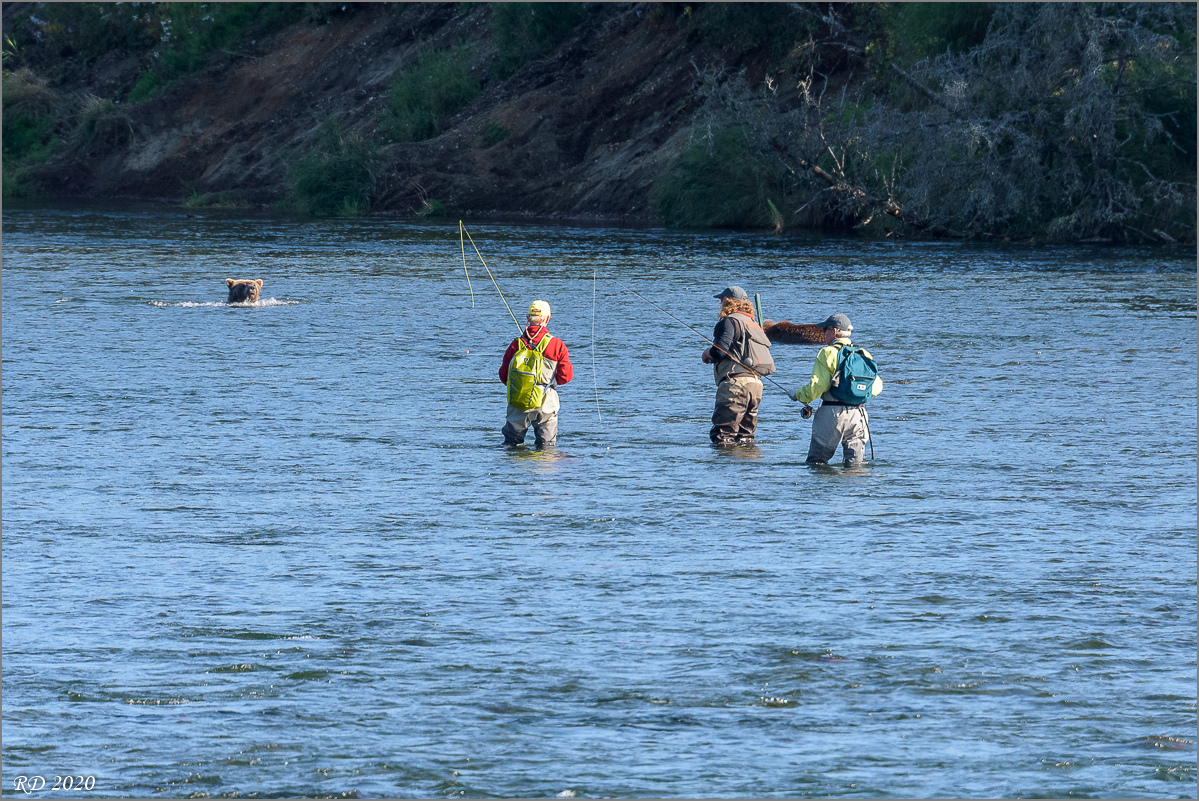 Alaska_2018-2324.jpg