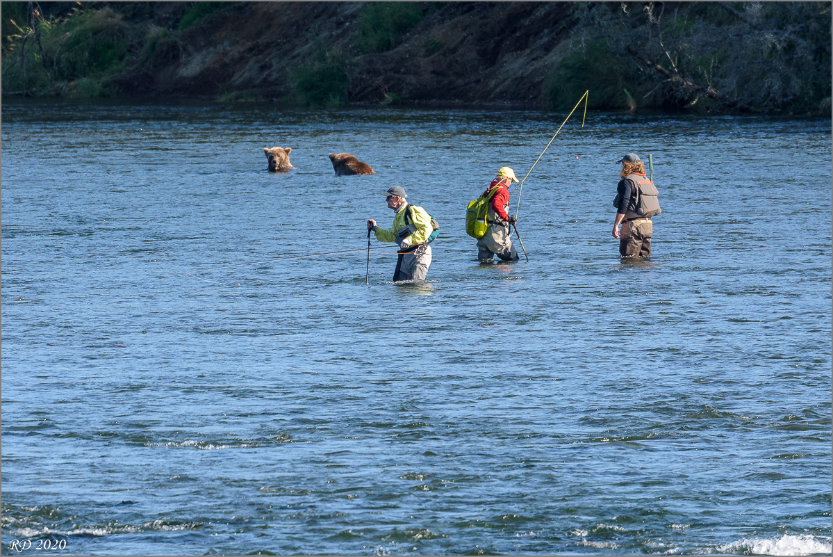 Alaska_2018-2327.jpg