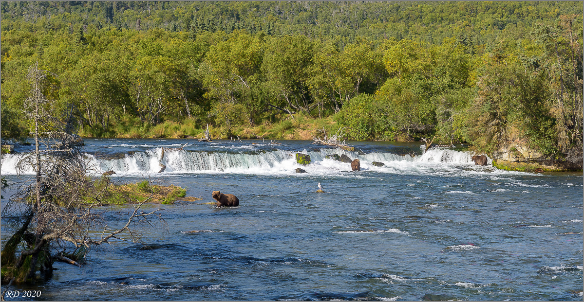 Alaska_2018-2329.jpg