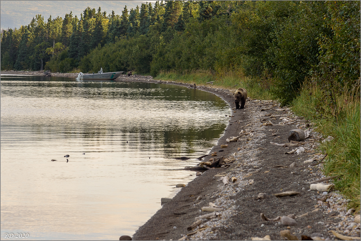 Alaska_2018-2367.jpg