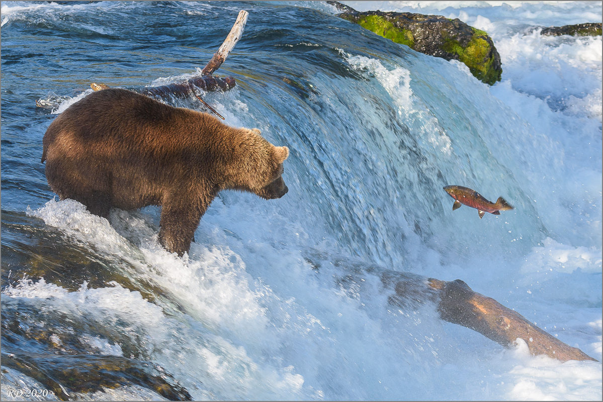 Alaska_2018-2665.jpg
