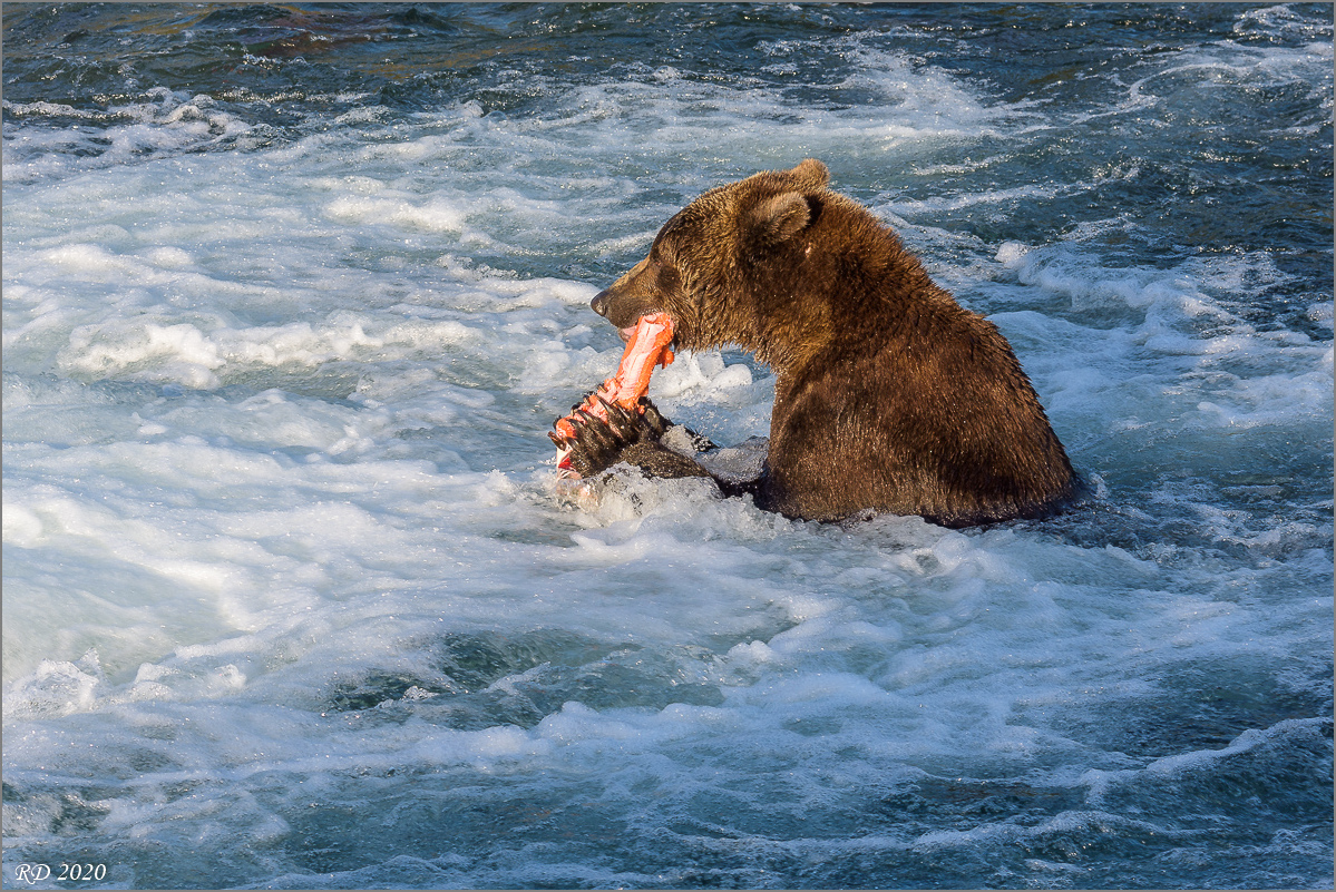 Alaska_2018-2693.jpg