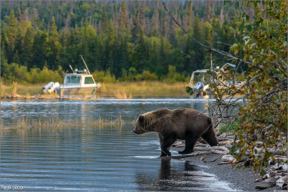 Alaska_2018-2814.jpg