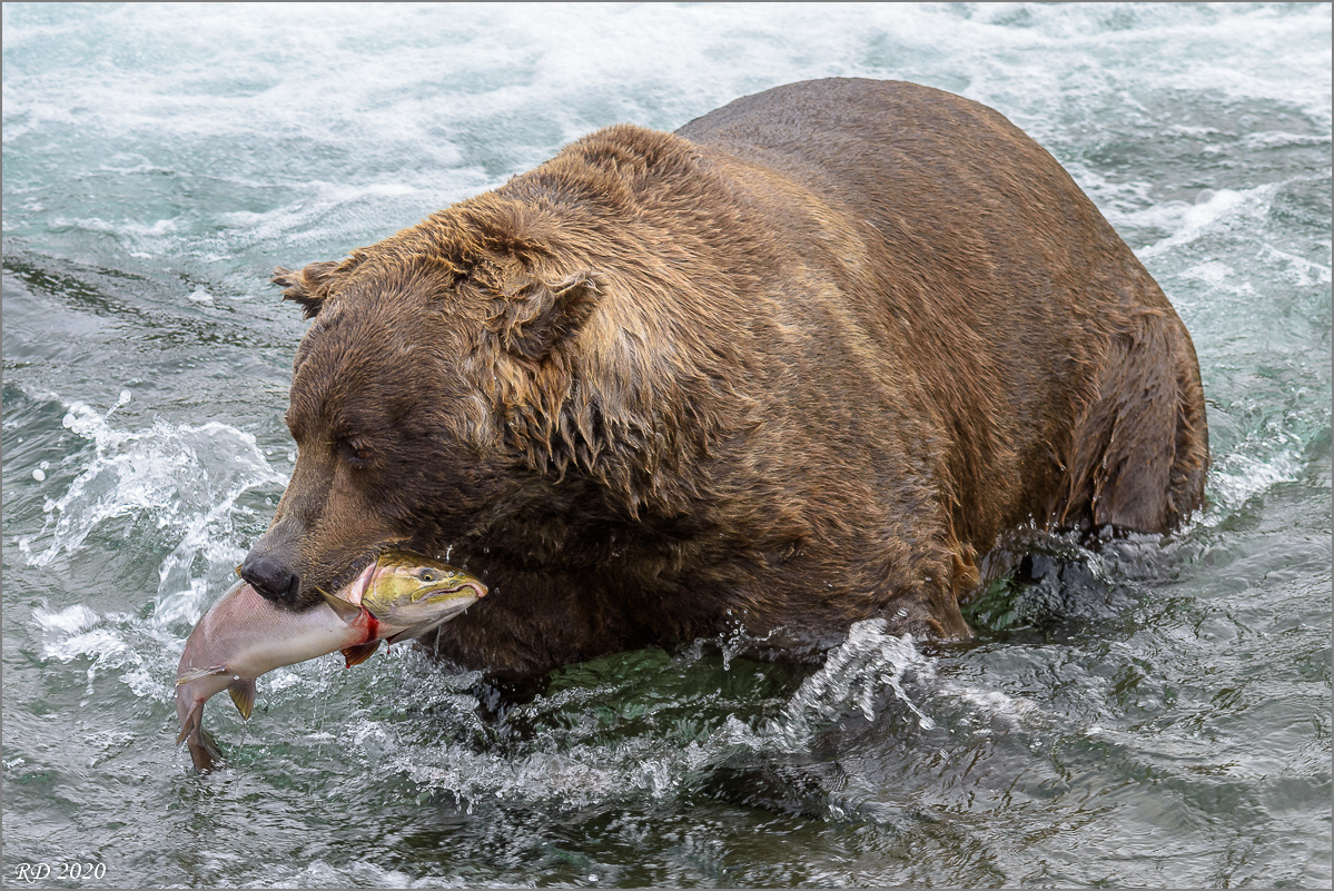 Alaska_2018-2832.jpg