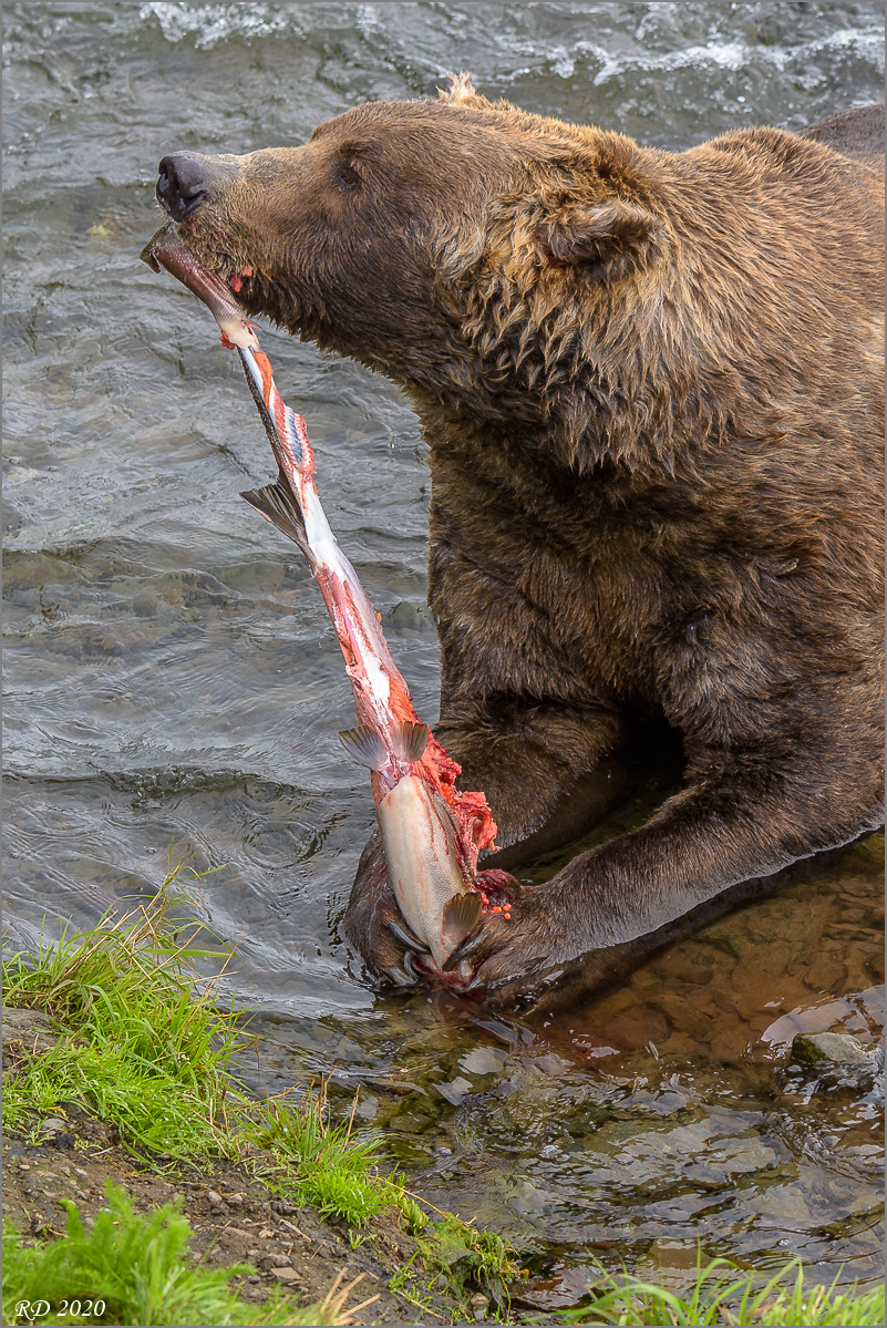 Alaska_2018-2839.jpg