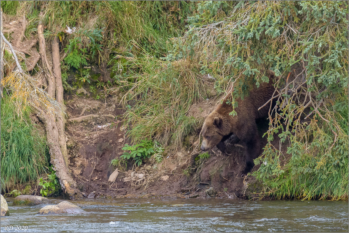 Alaska_2018-2875.jpg