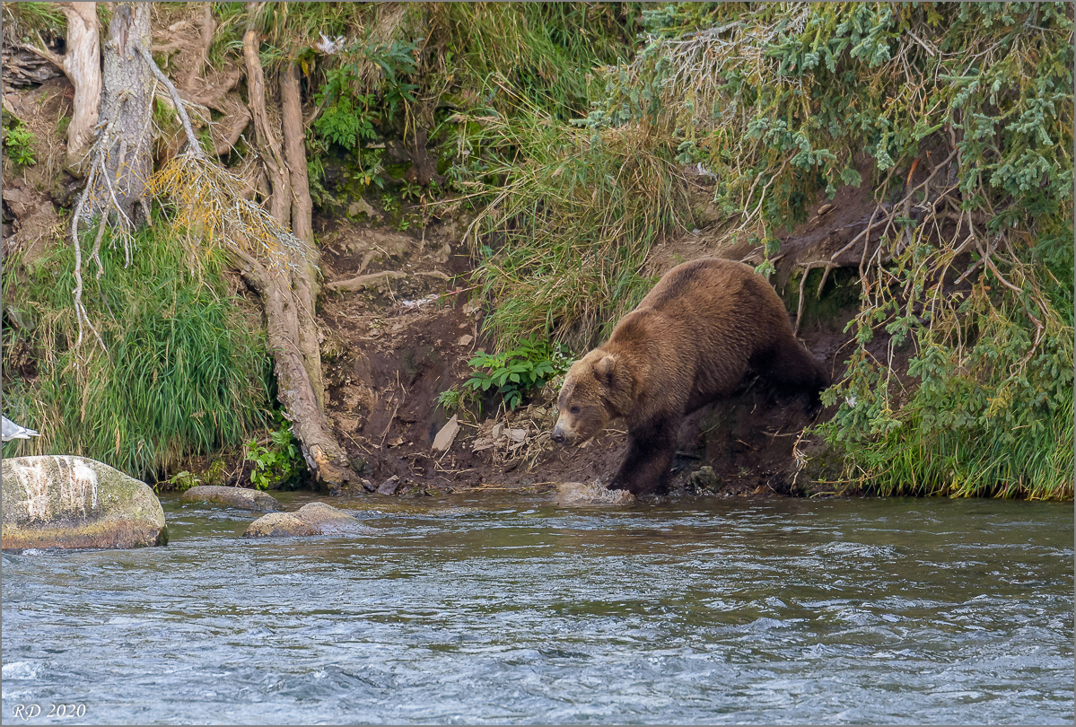 Alaska_2018-2876.jpg