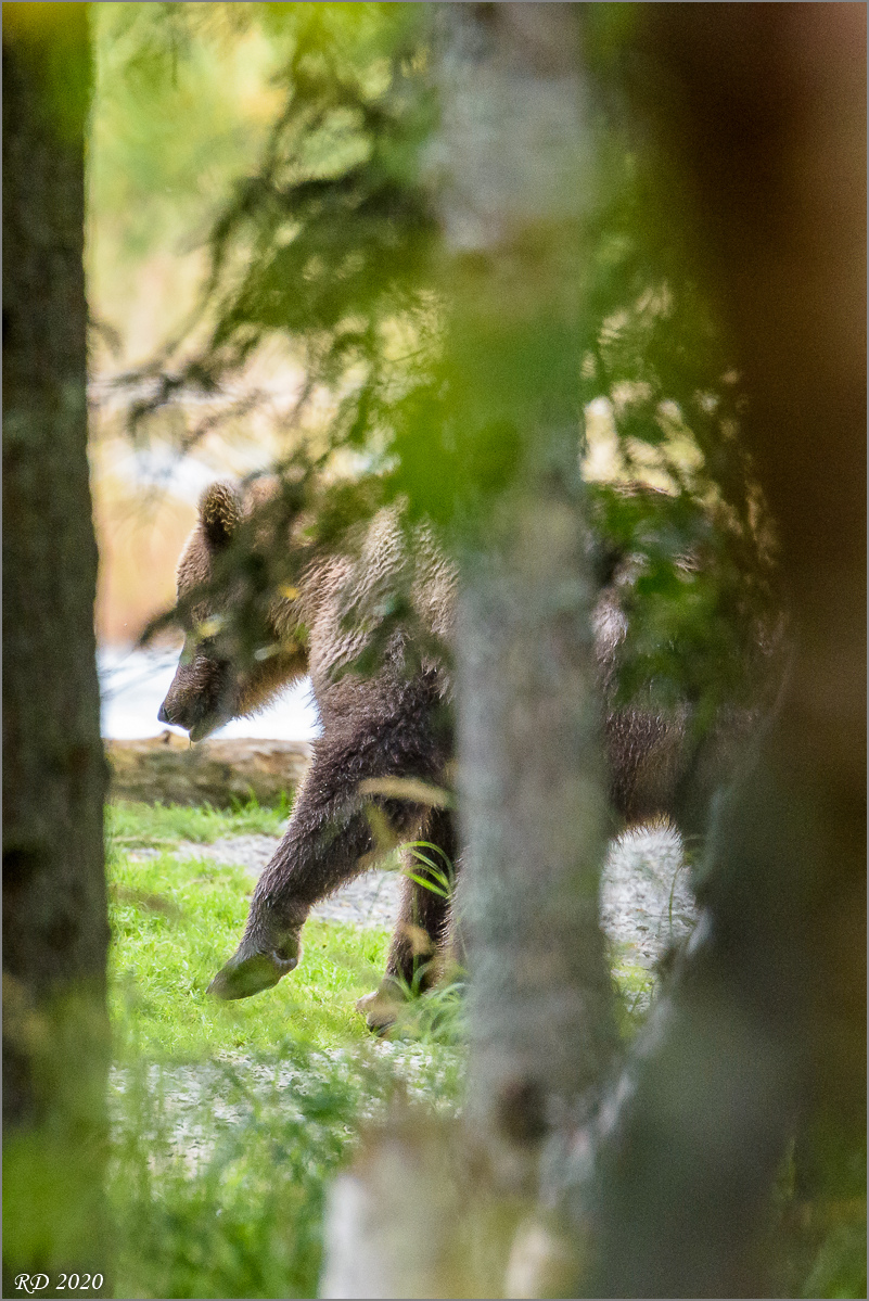 Alaska_2018-2924.jpg
