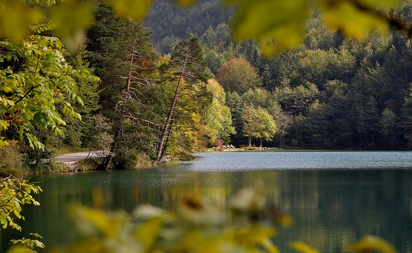 Alatsee mit ....