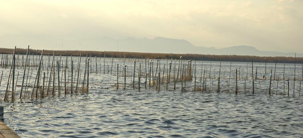 Albufera