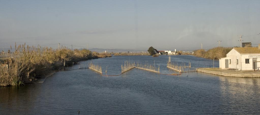 Albufera
