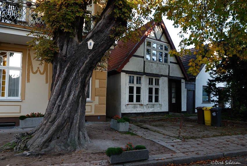 Alexandrinenstraße 1