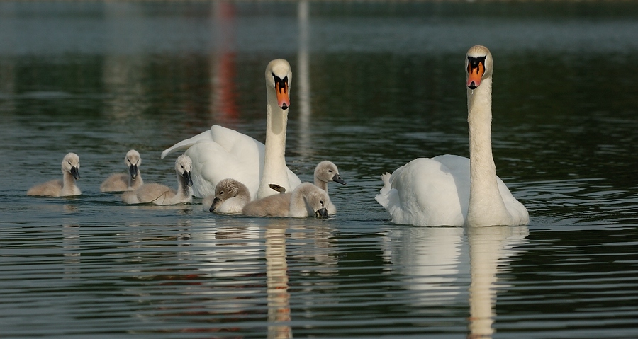 "Alle auf Kurs" Seepark Lünen