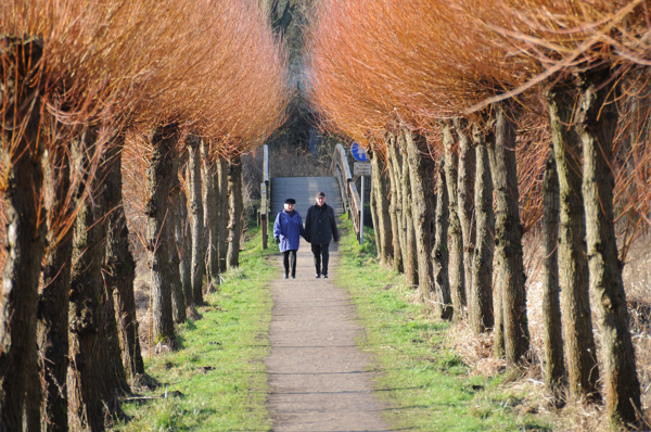 allee 1a