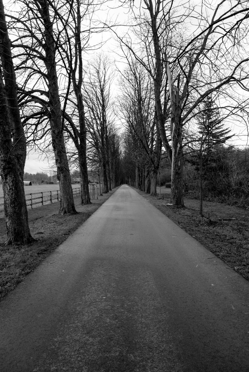 Allee Moormann Südkirchnerstr.  S W (1 von 1)