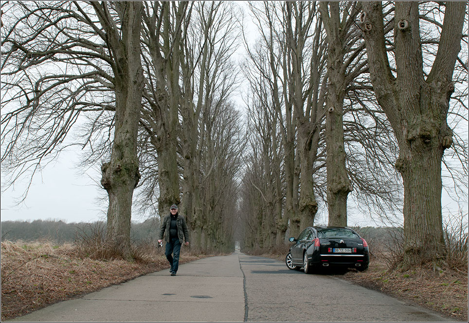 Allee und Klaus