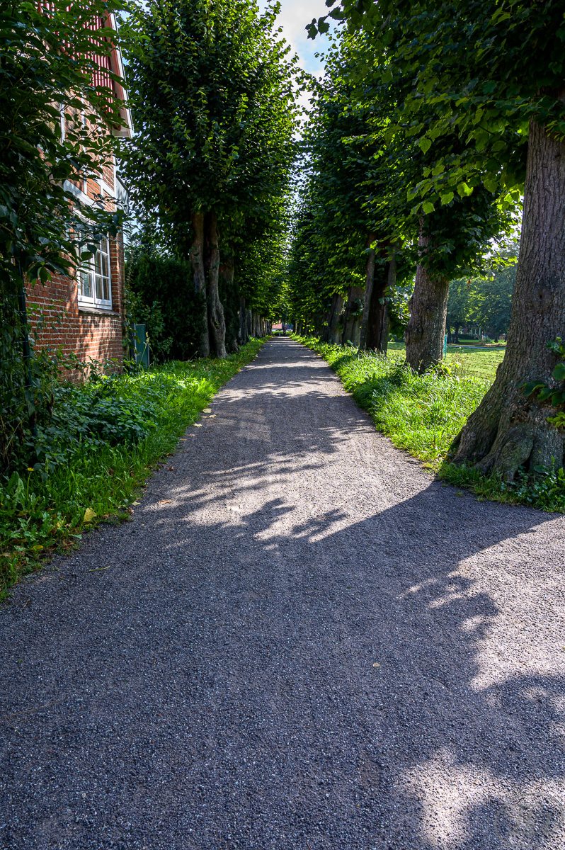 Allee