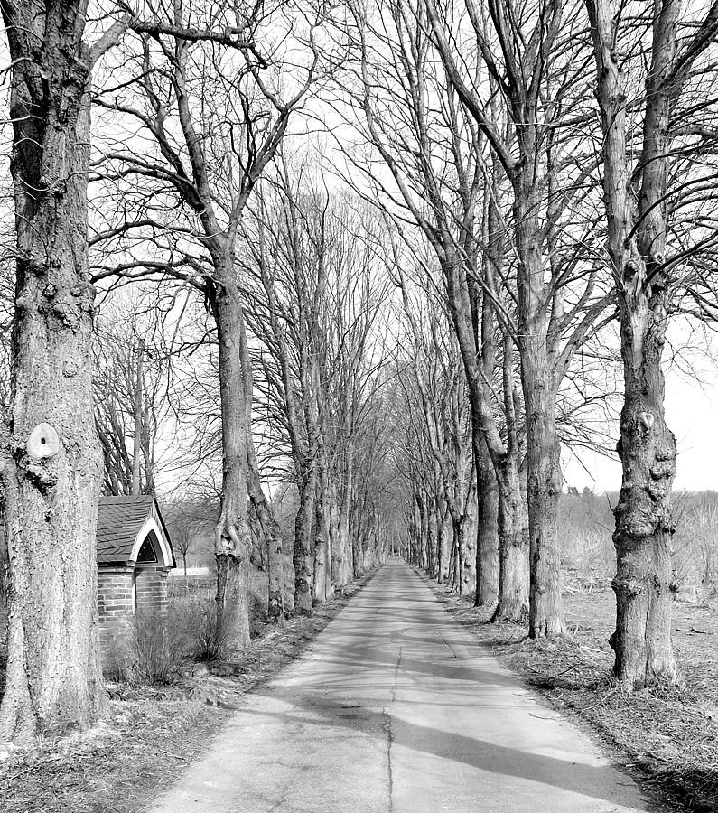 Allee001