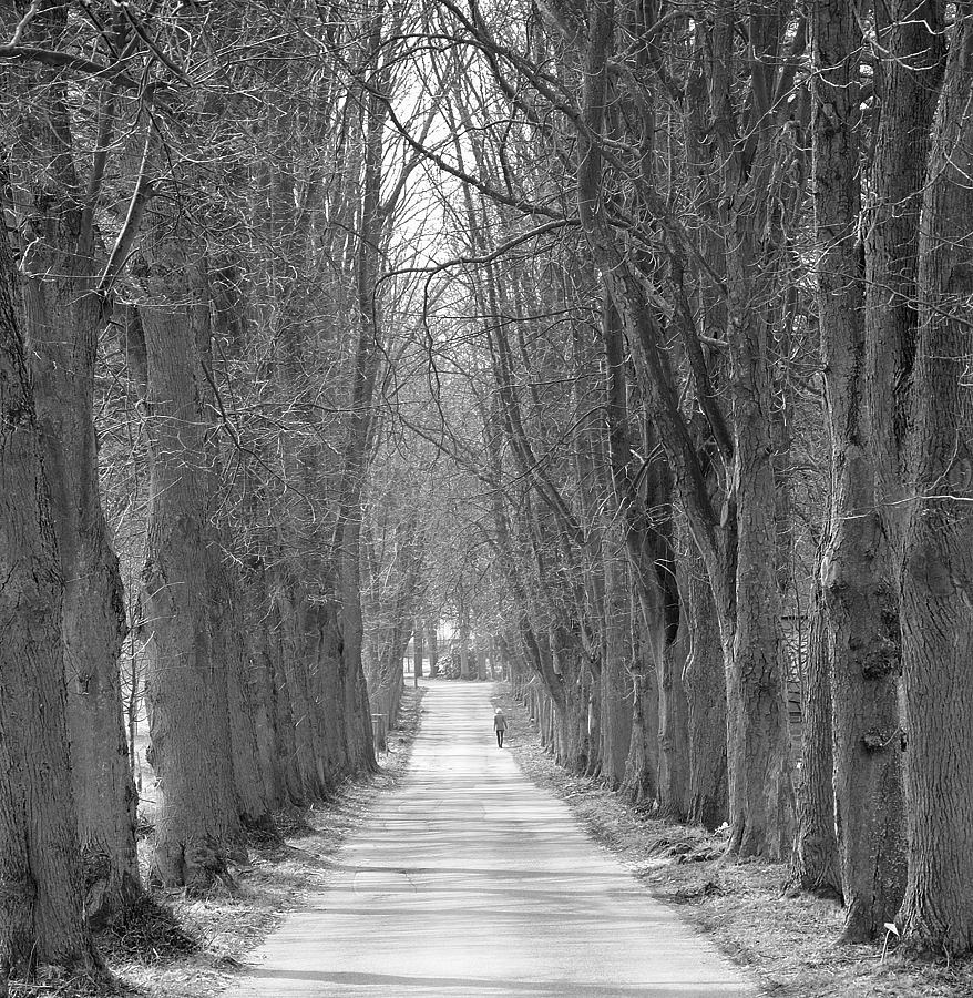 Allee002