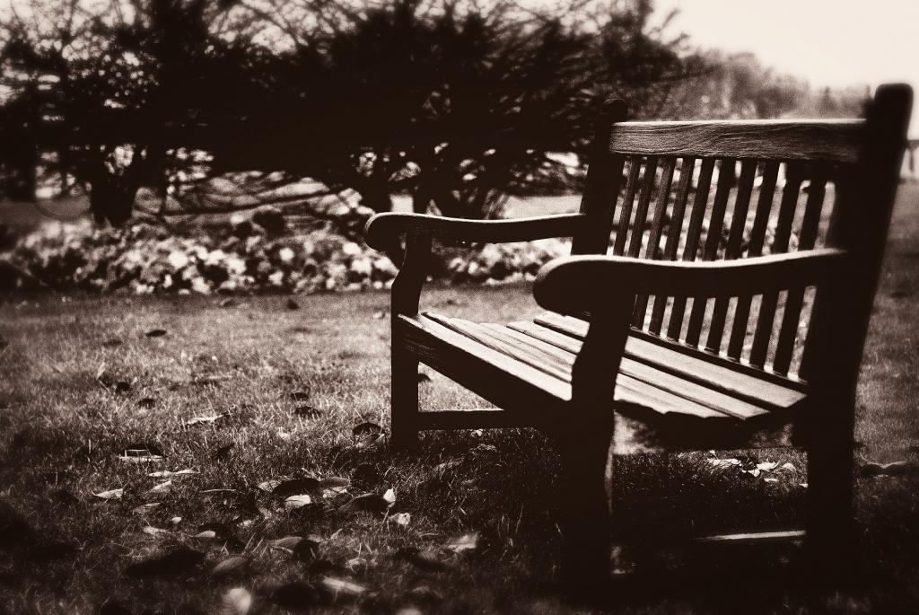 Allein~Die Ruhe nach dem Sturm
Auf einem Heldenfriedhof bei Hannover