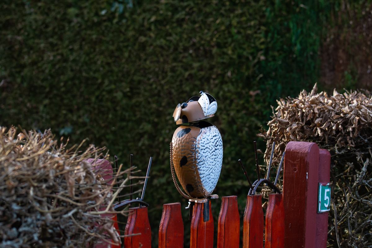 Allerlei 2024