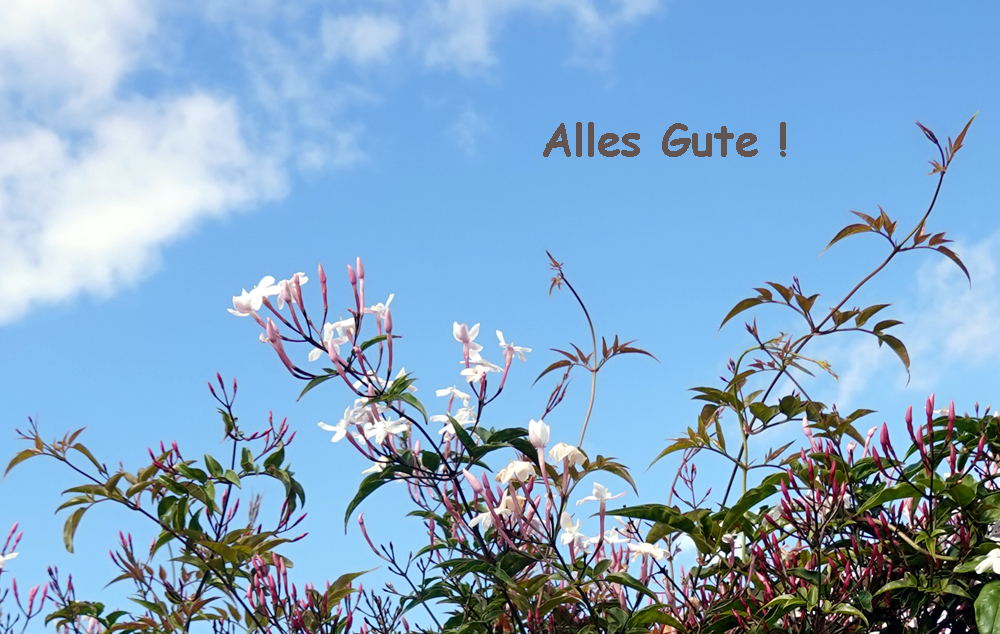 alles gute.ff.jpg