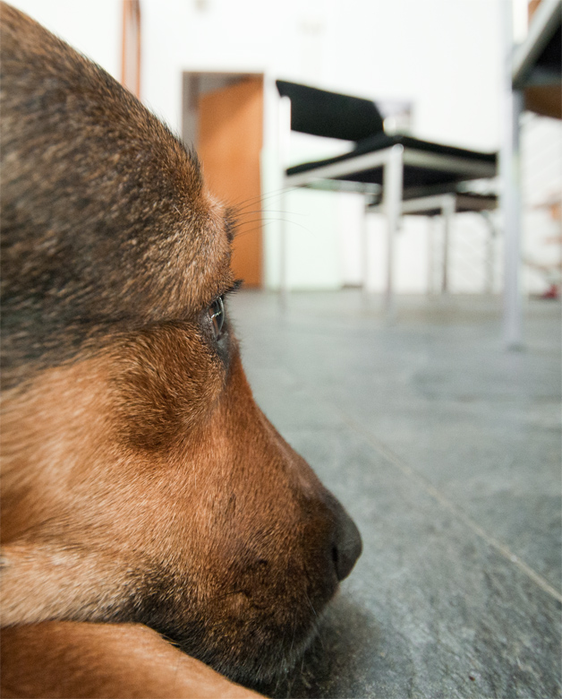 Alles im Blick