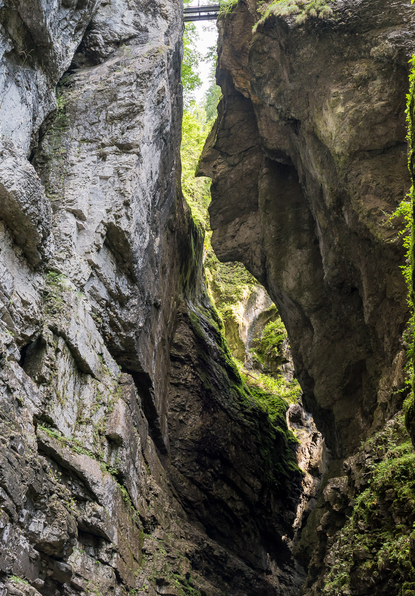 Allgäu NFF 15