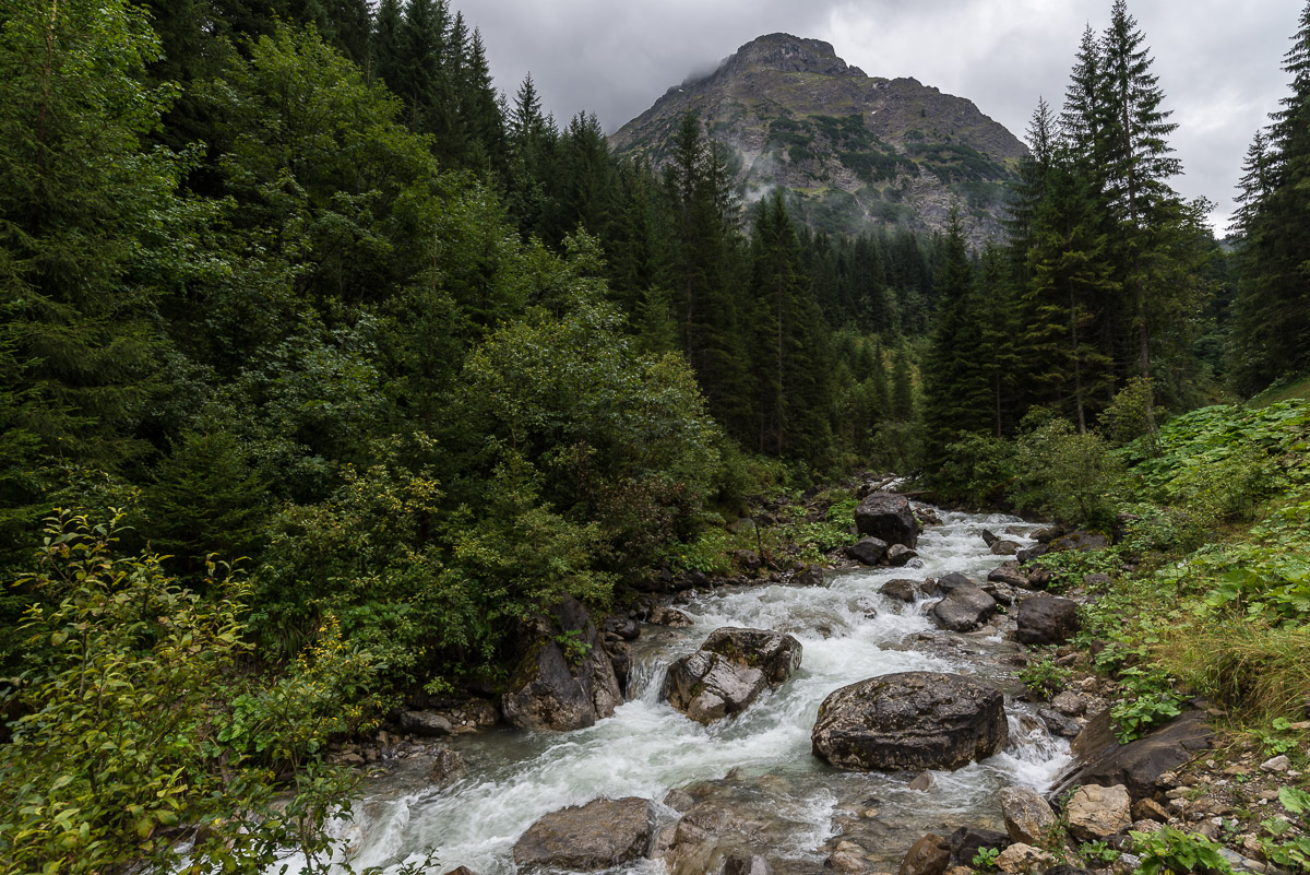 Allgäu NFF 5