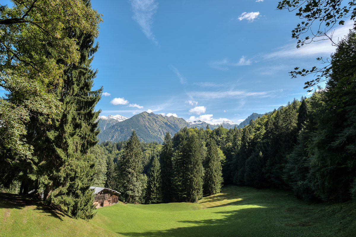 Allgäu NFF