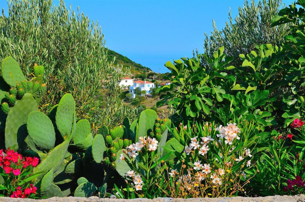Alonnisos 1